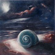/album/galleria-foto-sezione-quadri/conchiglia-olio-sv-cartoncino-cm-25x25-2006-jpg/